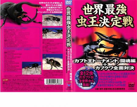 世界最強 虫王決定戦 カブト王トーナメント 闘魂編＋カブクワ全面対決▽レンタル用