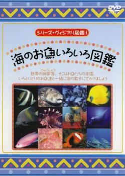 シリーズ・ヴィジアル図鑑 １ 海のお魚いろいろ図鑑▽レンタル用