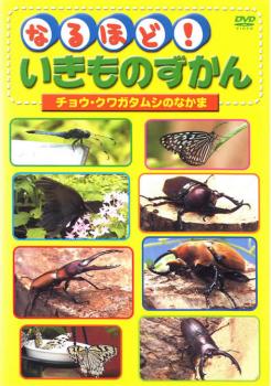 なるほど！いきものずかん チョウ・クワガタムシのなかま▽レンタル用