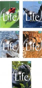 ＢＢＣ ＥＡＲＴＨ Ｌｉｆｅ ライフ（５枚セット）１、２、３、４、５▽レンタル用