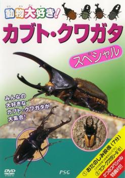 カブトムシ・クワガタ スペシャル