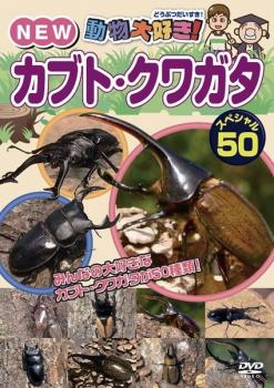 動物大好き！ＮＥＷ カブト・クワガタ スペシャル ５０