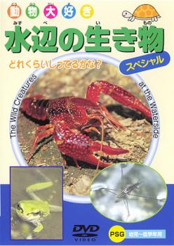 動物大好き 水辺の生き物 スペシャル