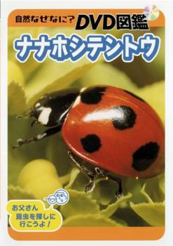 自然なぜなに？ ＤＶＤ図鑑 ナナホシテントウ▽レンタル用