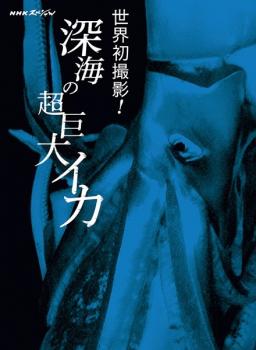 ＮＨＫスペシャル 世界初撮影！深海の超巨大イカ▽レンタル用