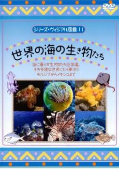 シリーズ・ヴィジアル図鑑 １１ 世界の海の生き物たち▽レンタル用