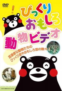 びっくりおもしろ動物ビデオ