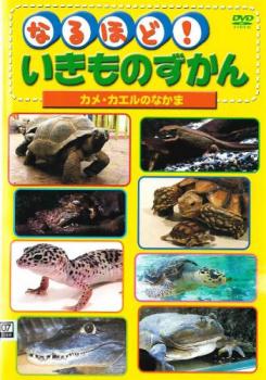 なるほど！いきものずかん カメ・カエルのなかま▽レンタル用