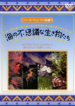 シリーズ ヴィジアル図鑑 ３ 海の不思議な生き物たち▽レンタル用