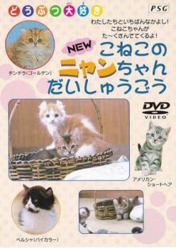 ＮＥＷ こねこのニャンちゃん大集合