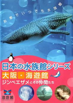 日本の水族館シリーズ 大阪 海遊館 ジンベエザメとその仲間たち▽レンタル用