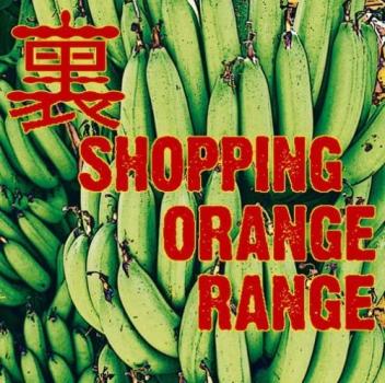 裏 ＳＨＯＰＰＩＮＧ ２ＣＤ▽レンタル用