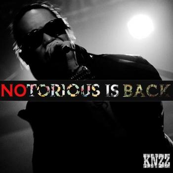 ＮＯＴＯＲＩＯＵＳ ＩＳ ＢＡＣＫ！ ▽レンタル用