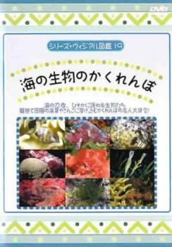 シリーズ・ヴィジアル図鑑 １９ 海の生き物のかくれんぼ 海の忍者、ひそかに隠れる生物たち▽レンタル用