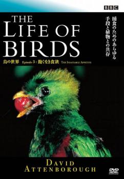 BBC 鳥の世界 ３ 飽くなき食欲▽レンタル用