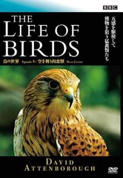 BBC  鳥の世界 ４ 空を舞う肉食獣▽レンタル用