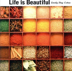 Ｌｉｆｅ ｉｓ Ｂｅａｕｔｉｆｕｌ Ｌｏｖｅｌｙ Ｄａｙ Ｅｘｔｒａ ライフ・イズ・ビューティフル ラヴリー・デイ エクストラ ▽レンタル用