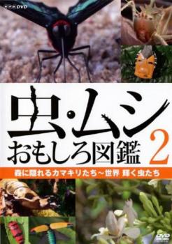 虫・ムシ おもしろ図鑑 ２ 森に隠れるカマキリたち 世界 輝く虫たち▽レンタル用