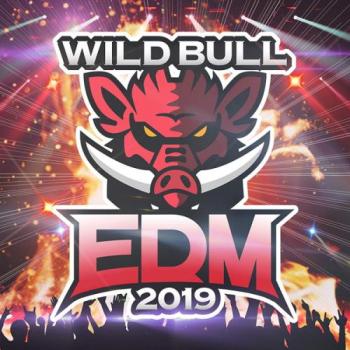 Ｗｉｌｄ Ｂｕｌｌ ＥＤＭ ２０１９ ▽レンタル用