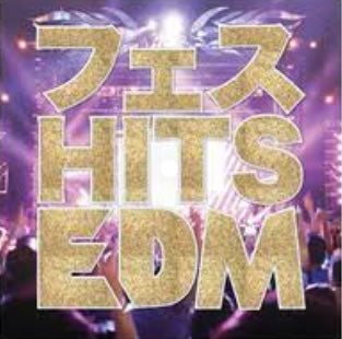 フェス ＨＩＴＳ ＥＤＭ ２０１８年を振り返るダンスミュージック３０選 ▽レンタル用