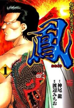 鳳 おおとり（１３冊セット）第 １～１３ 巻 レンタル用