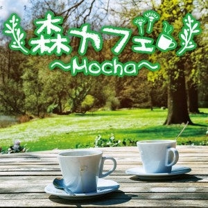 森カフェ Ｍｏｃｈａ ▽レンタル用