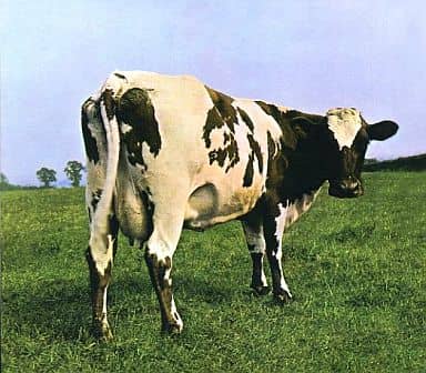 Ａｔｏｍ Ｈｅａｒｔ Ｍｏｔｈｅｒ 輸入盤 ▽レンタル用