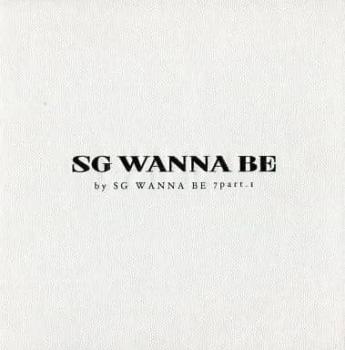 ＳＧ Ｗａｎｎａｂｅ ７集 Ｐａｒｔ １ 輸入盤 ▽レンタル用