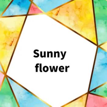 Ｓｕｎｎｙ ｆｌｏｗｅｒ ▽レンタル用